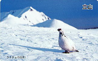 ���R�@�e���J