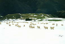 �Ȃ����݂�ȁA�����������Ă�