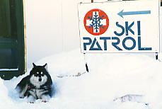 �씼���ł��n�X�L�[���I