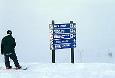 �ǂ����ɍs������