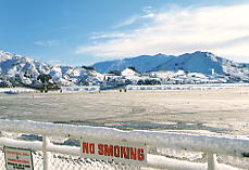 早く飛行機来ないかなあ