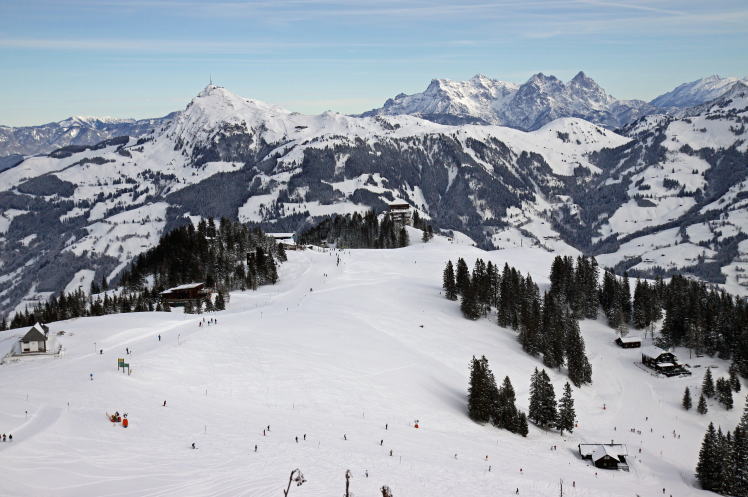 �L�b�c�r���[��