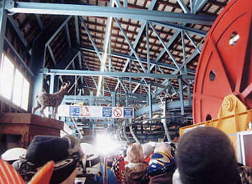 �L�b�c�r���[��