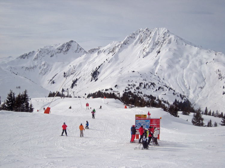 �L�b�c�r���[��