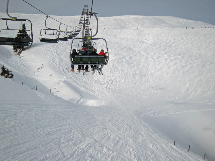 �L�b�c�r���[��