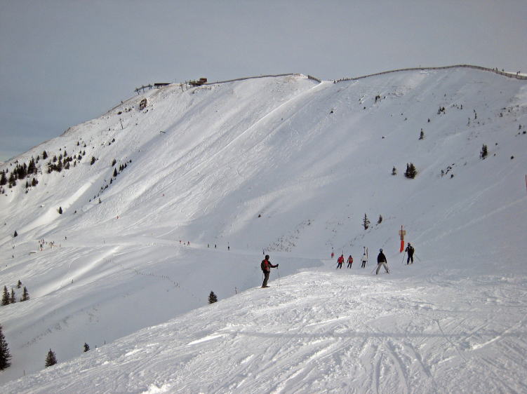 �L�b�c�r���[��