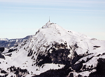 �L�b�c�r���[��