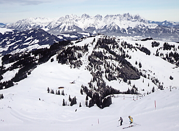 �L�b�c�r���[��