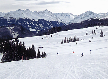 �L�b�c�r���[��