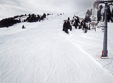 �L�b�c�r���[��