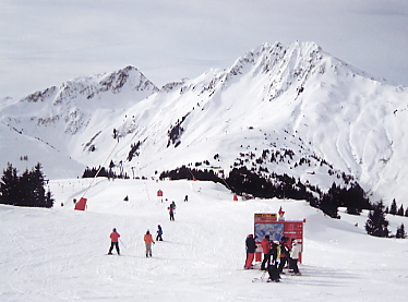 �L�b�c�r���[��