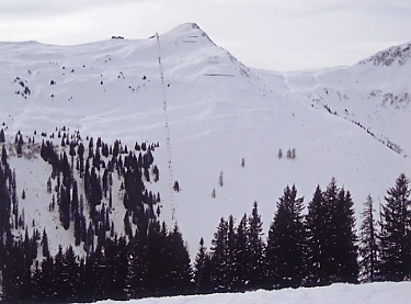 �L�b�c�r���[��