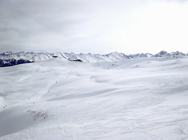 �L�b�c�r���[��