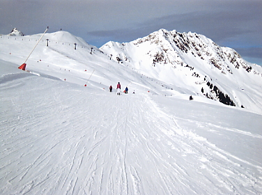 �L�b�c�r���[��