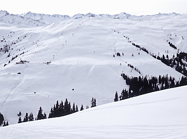 �L�b�c�r���[��