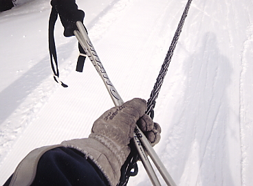 �L�b�c�r���[��