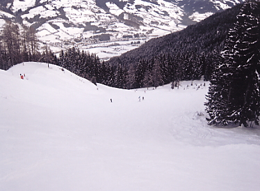 �L�b�c�r���[��