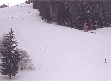 �L�b�c�r���[��