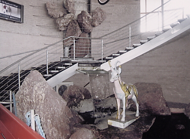 �L�b�c�r���[��