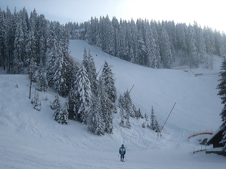 �J���_�n�[