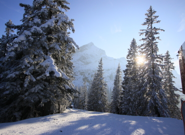 �K���~�b�V��