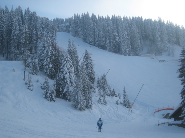 �K���~�b�V��