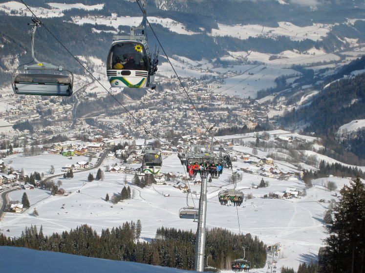 �V�����h�~���O