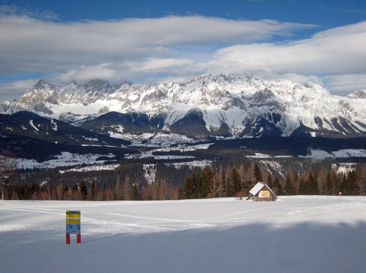 �V�����h�~���O