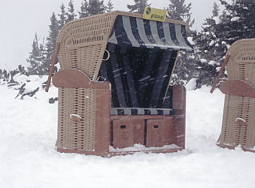 �V�����h�~���O