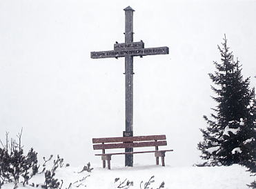 �V�����h�~���O