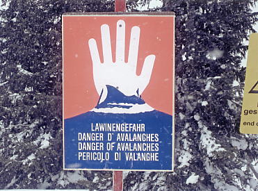 �V�����h�~���O