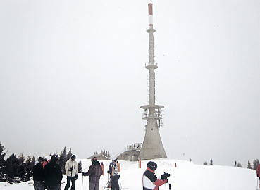 �V�����h�~���O