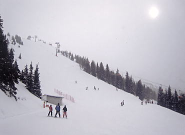 �V�����h�~���O