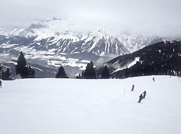 �V�����h�~���O