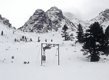 �V�����h�~���O