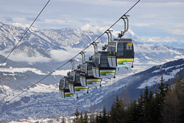 �V�����h�~���O