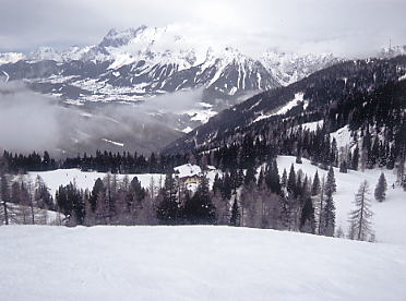 �V�����h�~���O