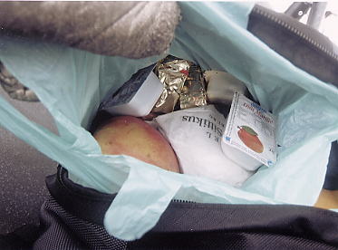 �V�����h�~���O