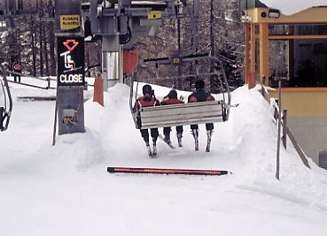 �V�����h�~���O