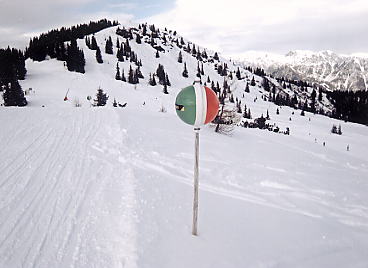 �V�����h�~���O