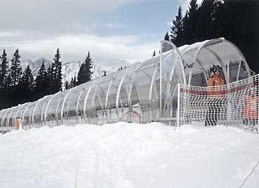 �V�����h�~���O