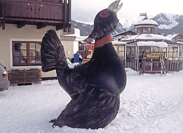 �V�����h�~���O