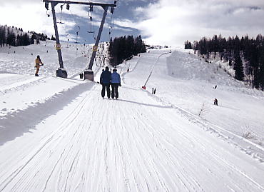 �V�����h�~���O