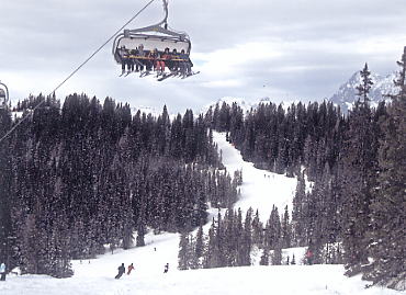 �V�����h�~���O