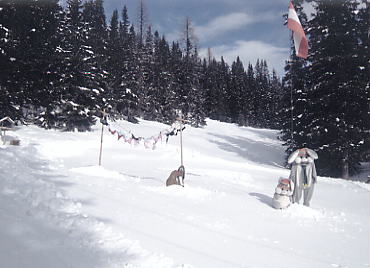 �V�����h�~���O