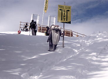 �V�����h�~���O