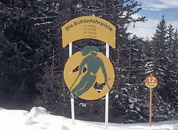 �V�����h�~���O