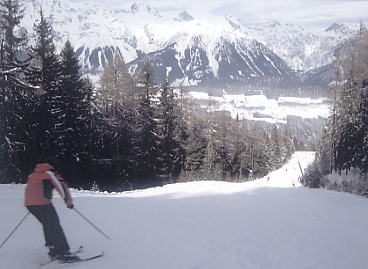 �V�����h�~���O