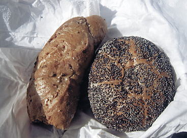 �V�����h�~���O