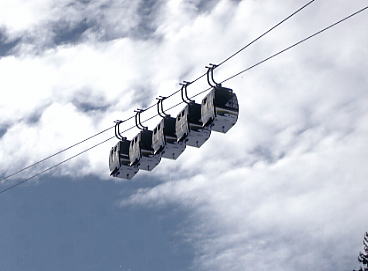 �V�����h�~���O